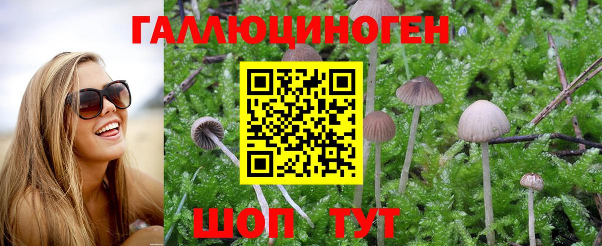 Рассказово  Псилоцибиновые грибы GOLDEN TEACHER  Вход с VPN 